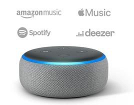 Echo Dot (3ª Geração): Smart Speaker Com Alexa - Cor Preta