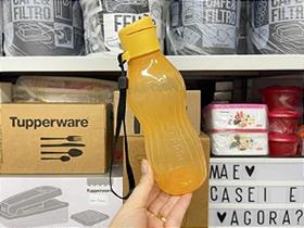 Eco Tupper Plus Frezzer 470ml Pêssego