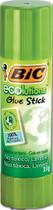 Ecolutions 21G - BIC