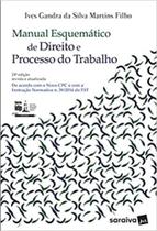 Edição antiga - Manual Esquemático de Direito e Processo do Trabal