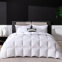 Edredom de plumas de penas LESNNCIER Luxury Queen Size branco Edredom de plumas de penas LESNNCIER Luxury Queen Size branco