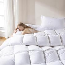 Edredom DOWNCOOL Feather Down Fiber King 270x230cm branco