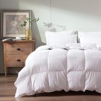 Edredom WENERSI Feather Down Oversize King 1200TC 750+FP Edredom WENERSI Feather Down Oversize King 1200TC 750+FP