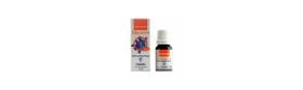 Educador Cocotrainer Para Cães Limpinho 15 Ml Educador Cocotrainer Para Cães Limpinho 15 Ml
