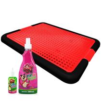 Educador xixi no lugar certo Kit Educa Pet 1 Banheiros Higiênico 1 xixi Pode 1 xixi Não Pode Educador xixi no lugar certo Kit Educa Pet 1 Banheiros Higiênico 1 xixi Pode 1 xixi Não Pode