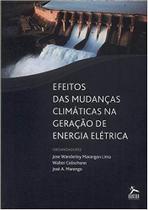 Efeitos das mudanças climáticas na geração de energia elétrica Paperback Jose Wanderley Marangon Lima/ Walter Colischo