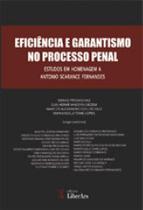 Eficiencia e garantismo no processo penal