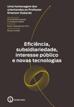 Eficiência, subsidiariedade, interesse público e novas tecnologias