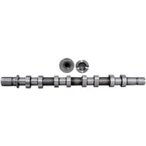 Eixo de comando de válvulas Renault Clio 2000 a 2009 TARANTO Eixo de comando de válvulas Renault Clio 2000 a 2009 TARANTO