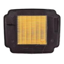 Elemento filtro de ar fram biz 125 11/ (ca12193)