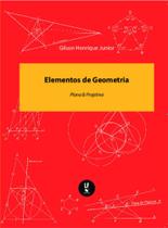 Elementos de geometria: plana & projetiva