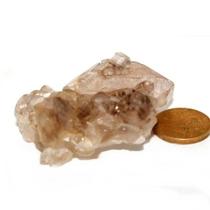 Elestial Cristal Jacare Extra Natural Geminado Cod 135672