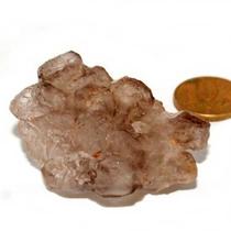 Elestial Cristal Jacare Extra Natural Geminado Cod 135677