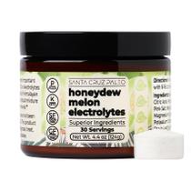 Eletrólito em pó Santa Cruz Paleo Honeydew Melon Slavor