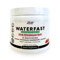 Eletrólito em pó Simply Primal WATERFAST Monk Fruit Keto