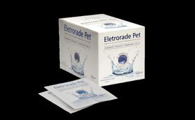 Eletrorade Pet Suplemento P/ Cães e Gatos Caixa C/ 10 Tabletes Efervescentes de 5g- Inovet Eletrorade Pet Suplemento P/ Cães e Gatos Caixa C/ 10 Tabletes Efervescentes de 5g- Inovet