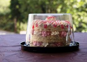 Emb Galvanotek G 31 Ct Bolo Mono Porcao Preta