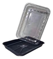 Embalagem Reta Para Freezer Transporte Bp03 Baixa Plástica 10 UND Kit 30un Embalagem Reta Para Freezer Transporte Bp03 Baixa Plástica 10 UND Kit 30un