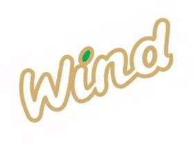 Emblema Adesivo Wind Lateral Corsa