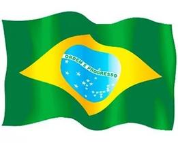 Emblema Bandeira Brasil Tremula Resinada 6,7 x 9,0 cm