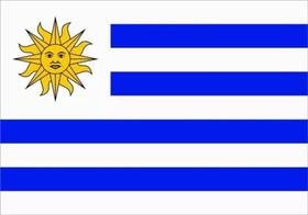 Emblema Bandeira Resinada Uruguai 6x4