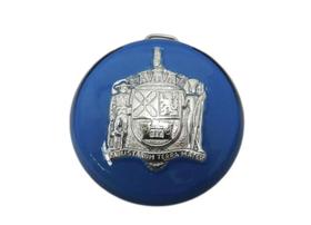 Emblema botao buzina azul paulistarum fusca antigo