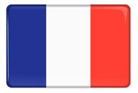 Emblema Resinado Citroen Bandeira França Emblema Resinado Citroen Bandeira França