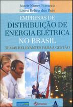 Empresas de distribuiçao de energia eletrica no brasil - temas relevantes para a gestao