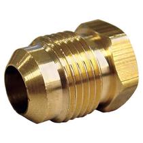 Encaixe de tubo de mangueira HOME PLUS Flare Hex Plug de 1,6 cm, pacote com 5