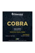 Encordoamento giannini cv82l bronze 80/20 viola cebolao em mi Encordoamento giannini cv82l bronze 80/20 viola cebolao em mi