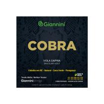 Encordoamento giannini viola em ré