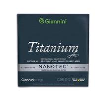 Encordoamento Para Violão Giannini GENWTA PN Titanium Bronze 85/15 Nanotec 0.28