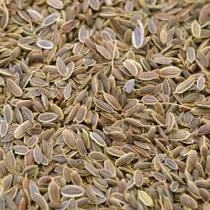 Endro Semente 100gr