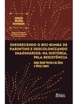 Enegrecendo o boi-bumbá de parintins e descolonizando imaginários