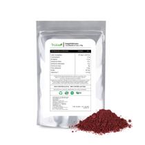 Energia Performance Smoothie Beterraba e Cacau 500g Energia Performance Smoothie Beterraba e Cacau 500g