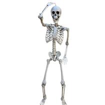 enfeite caveira esqueleto 160cm Halloween decoração festa enfeite caveira esqueleto 160cm Halloween decoração festa