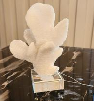Enfeite Coral Decorativo Branco Com base Acrilica