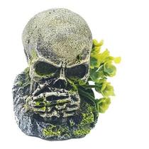 Enfeite Crânio Não Falo - D24 - Aquária Enfeite Crânio Não Falo - D24 - Aquária