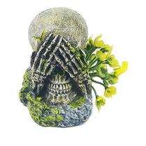 Enfeite Crânio Não Vejo - D24 - Aquária Enfeite Crânio Não Vejo - D24 - Aquária