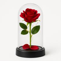 Enfeite Cúpula Vidro Rosa Permanente 15Cm Mini Base Plástico Enfeite Cúpula Vidro Rosa Permanente 15Cm Mini Base Plástico