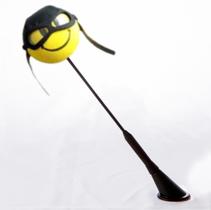 Enfeite de antena de teto de carro