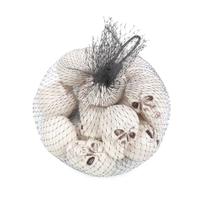 Enfeite De Crânio Branco Halloween 12 Un - Cromus