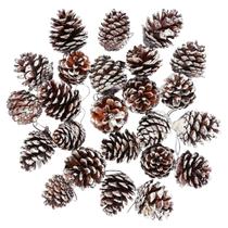 Enfeite de pinhas de Natal Cooraby com corda, 24 unidades Enfeite de pinhas de Natal Cooraby com corda, 24 unidades