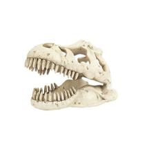 Enfeite de Resina Esqueleto Cabeça de Tiranossauro Rex Soma Pequeno