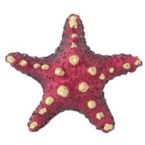 Enfeite de resina soma invertebrado estrela spotted rosa