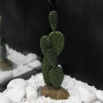 Enfeite de resina soma planta cactus 102