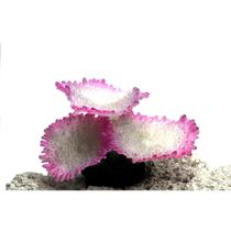 Enfeite De Silicone Soma Coral Mushroom Spotted Branco 04