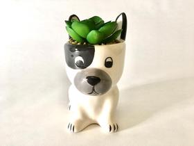 Enfeite Decorativo Cachepot Cerâmica Cachorro com Planta 11x10,5cm