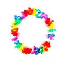 Enfeite Decorativo Colar Havaiano Carnaval