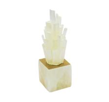 Enfeite Decorativo Coral Marinho c Base Branco Dourado